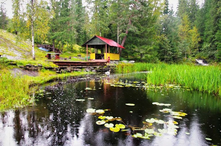 Ниссан в карелии